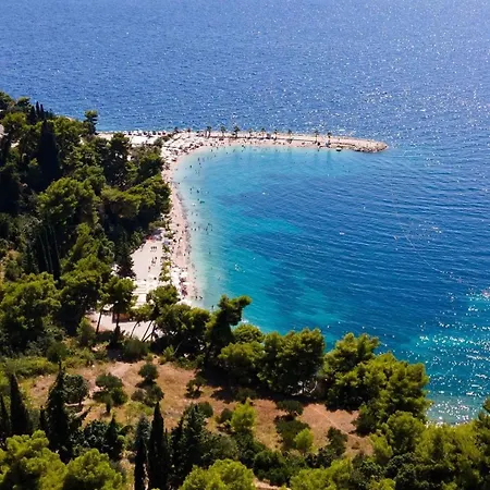 Digital Nomad Friends Apartment